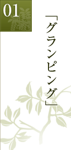 グランピング